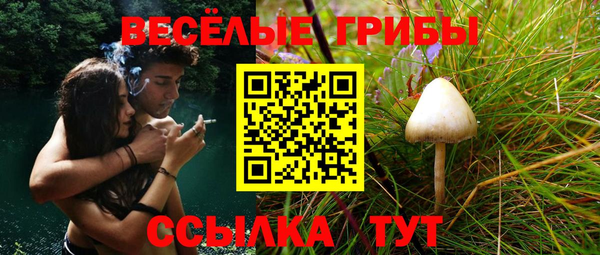 где купить наркотик  Псилоцибиновые грибы GOLDEN TEACHER  Псилоцибиновые грибы Magic Shrooms  Вход с VPN  Похвистнево 