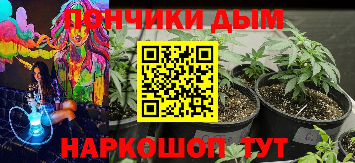 МАРИХУАНА сатива Похвистнево